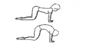 How to exercise during pregnancy: pelvis mobility exercise, back stretch